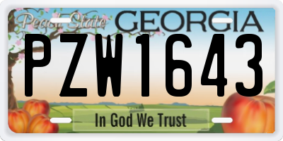 GA license plate PZW1643