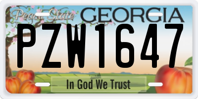 GA license plate PZW1647