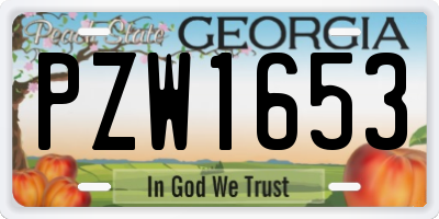 GA license plate PZW1653