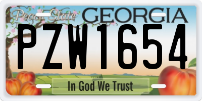 GA license plate PZW1654