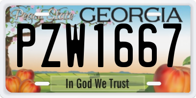 GA license plate PZW1667