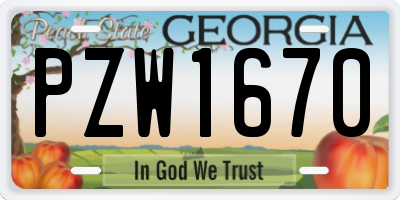 GA license plate PZW1670