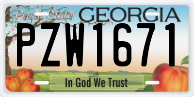 GA license plate PZW1671