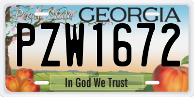 GA license plate PZW1672