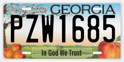GA license plate PZW1685