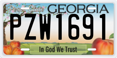 GA license plate PZW1691
