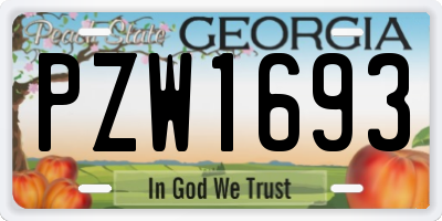 GA license plate PZW1693