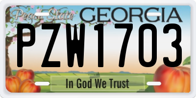 GA license plate PZW1703