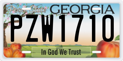 GA license plate PZW1710