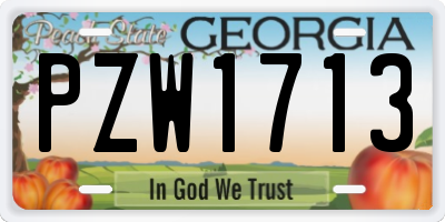 GA license plate PZW1713