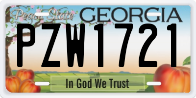 GA license plate PZW1721