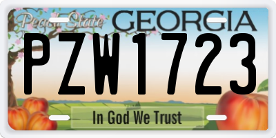 GA license plate PZW1723