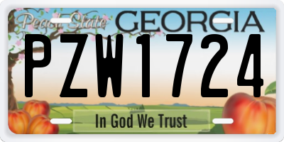GA license plate PZW1724