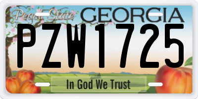 GA license plate PZW1725