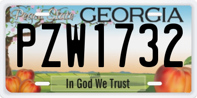 GA license plate PZW1732