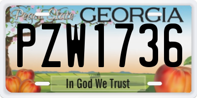 GA license plate PZW1736