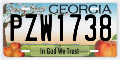 GA license plate PZW1738