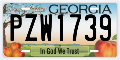 GA license plate PZW1739