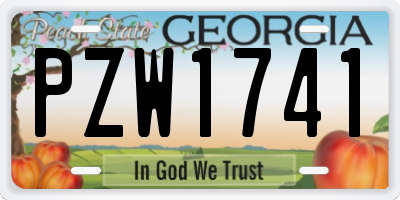 GA license plate PZW1741