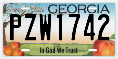 GA license plate PZW1742