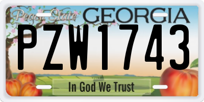GA license plate PZW1743