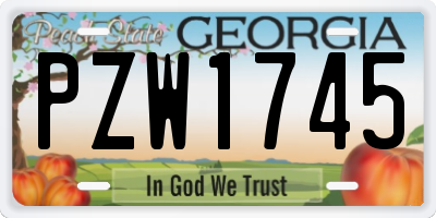 GA license plate PZW1745