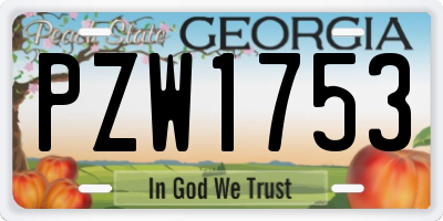GA license plate PZW1753