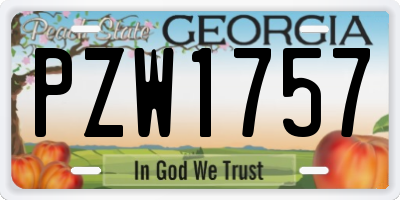 GA license plate PZW1757