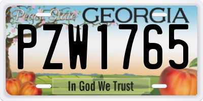 GA license plate PZW1765