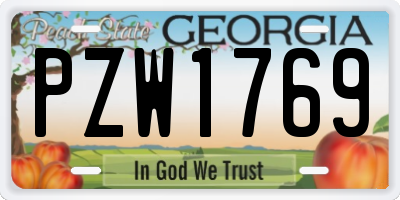 GA license plate PZW1769