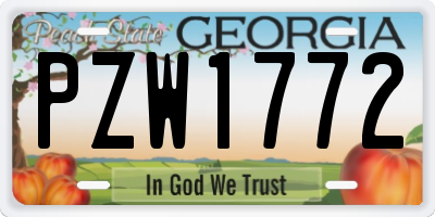 GA license plate PZW1772
