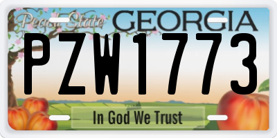 GA license plate PZW1773