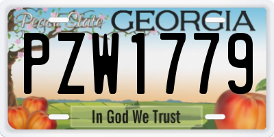 GA license plate PZW1779
