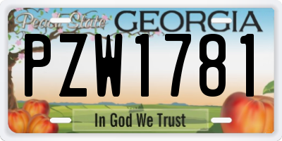 GA license plate PZW1781