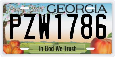 GA license plate PZW1786