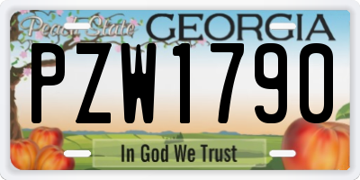 GA license plate PZW1790