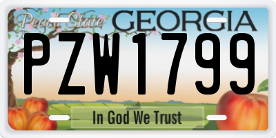 GA license plate PZW1799