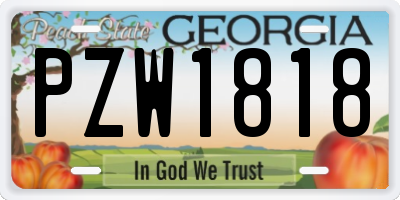 GA license plate PZW1818