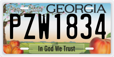 GA license plate PZW1834
