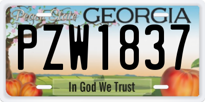 GA license plate PZW1837