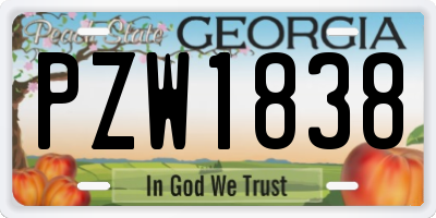 GA license plate PZW1838