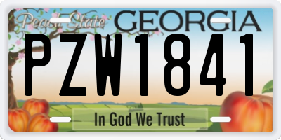 GA license plate PZW1841