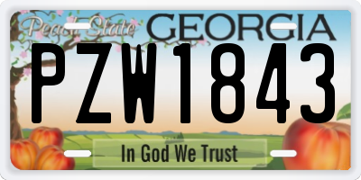 GA license plate PZW1843