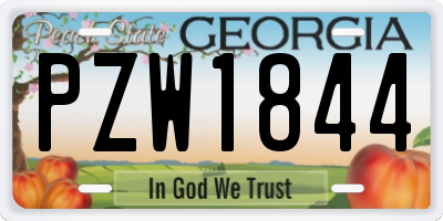 GA license plate PZW1844