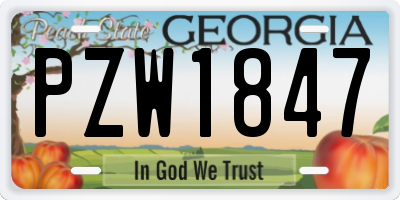 GA license plate PZW1847