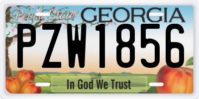 GA license plate PZW1856