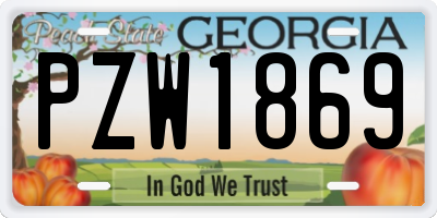 GA license plate PZW1869