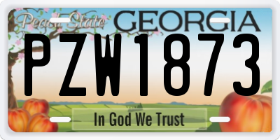 GA license plate PZW1873