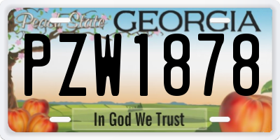 GA license plate PZW1878
