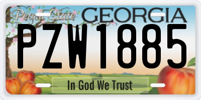 GA license plate PZW1885